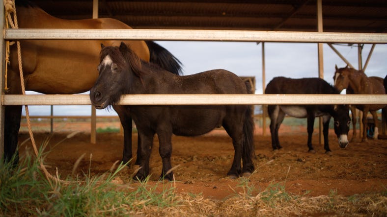 RPRT DANYELLE HERO 16x9.00 02 08 10.Still006