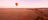Hot-air-balloon-over-Alice-Springs-during-sunrise.jpg