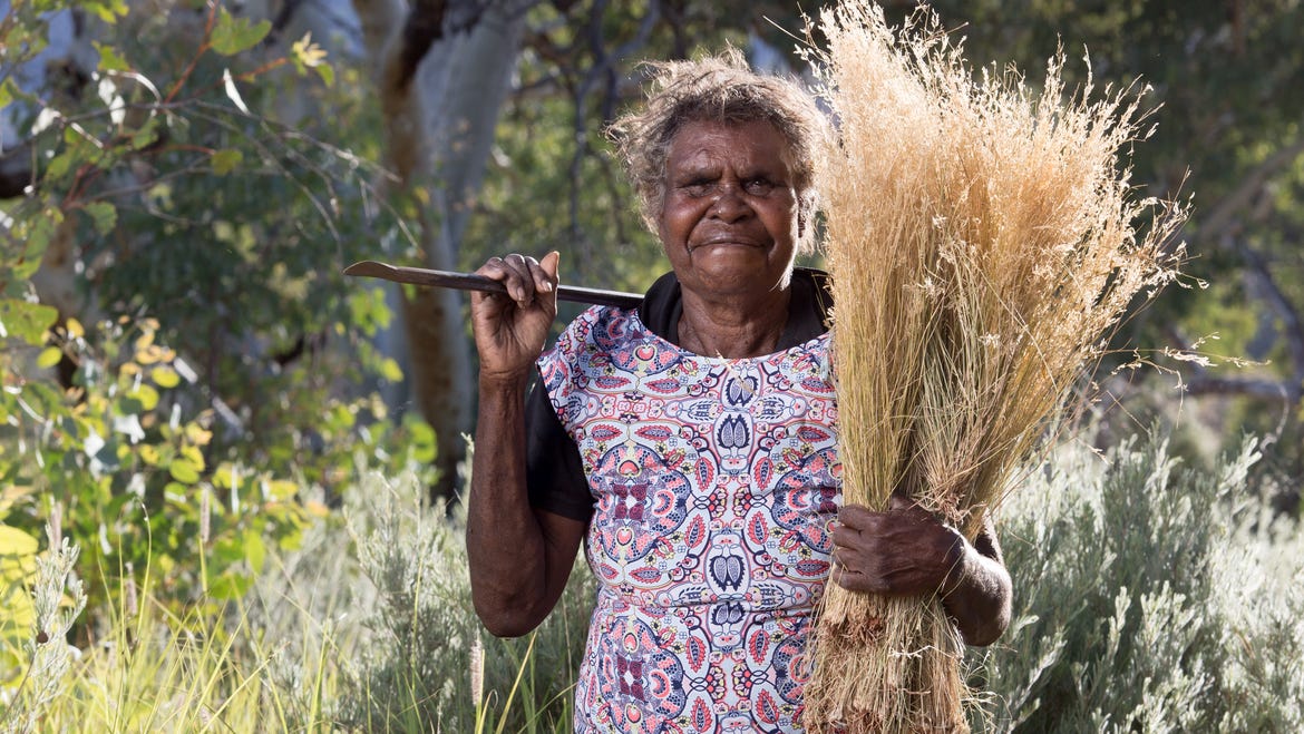 Artist Mary Pan collecting grass near Amata, SA, 2017. Image by Rhett Hammerton