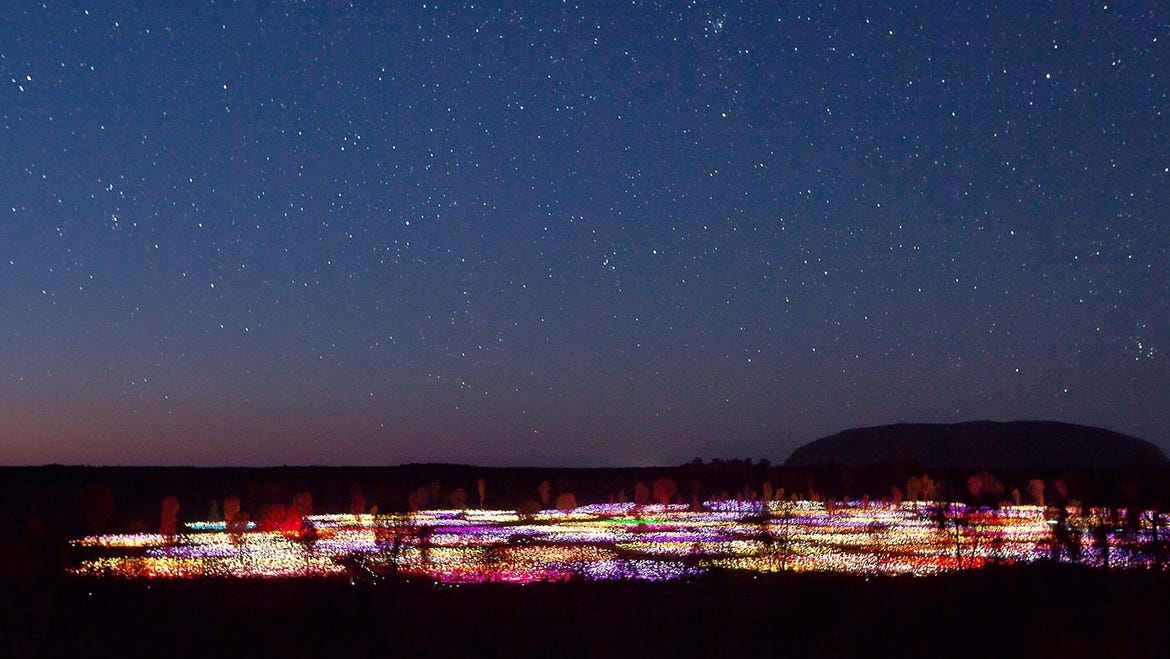 Night time photo of the Field of Lights at Uluru