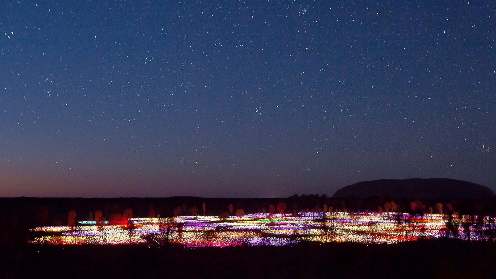Night time photo of the Field of Lights at Uluru