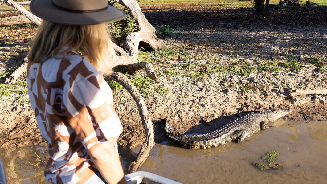 Saltwater crocodile in Kakadu