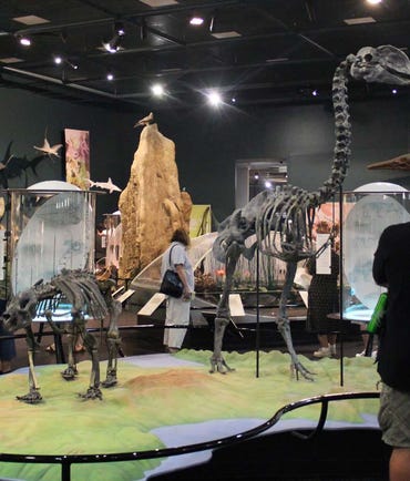 Exhibition at Darwin Muesum