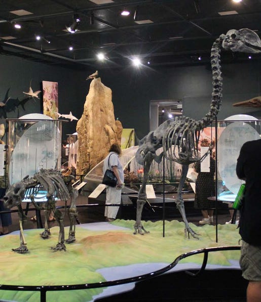 Exhibition at Darwin Muesum