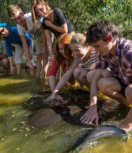 Fish Feeding at Territory wildlifepark
