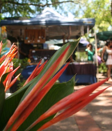 Flowers and stalls at Nightcliff Markets