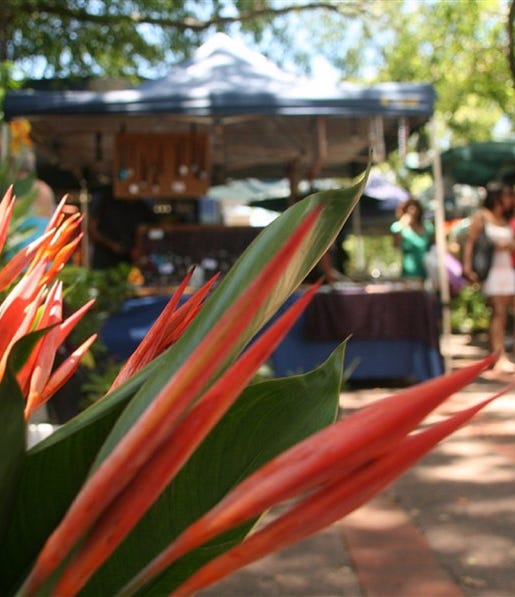 Flowers and stalls at Nightcliff Markets