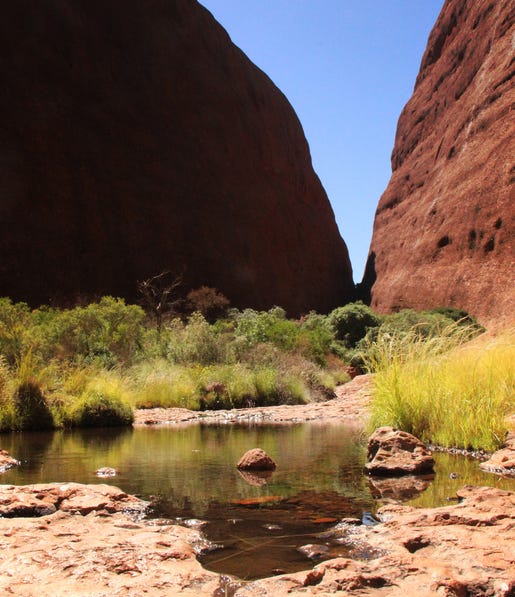 kata tjuta towering over the walpa gorge walk