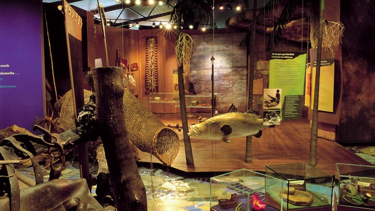 Display seen at the Warradjan Culture Centre in Kakadu