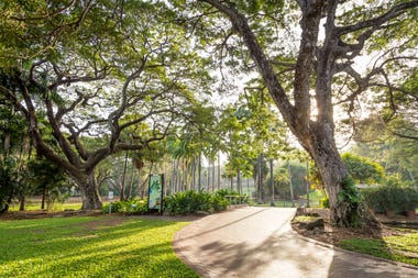 A day of wildlife & nature in Darwin City