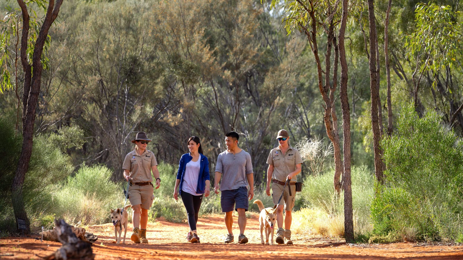 Couple walking with the dingoes at the Alice Springs Desert Park