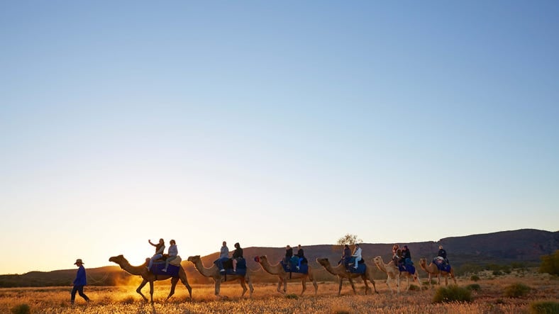 Camel ride against theWest MacDonnell Ranges
