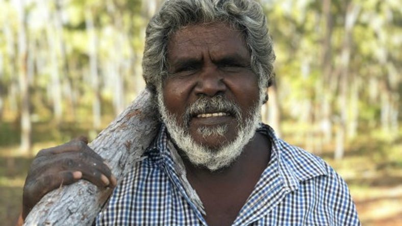 Djambawa Marawili AM