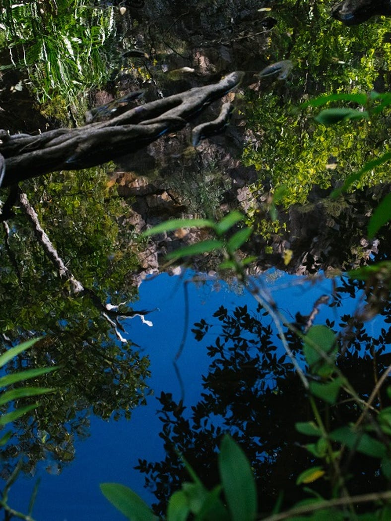 Water Reflections in BininjCountry