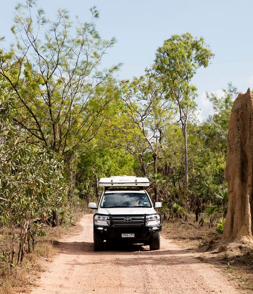 Travelling past a cathedral termite mound in Litchfield National Park on the four-wheel drive Reynolds River Track. Get set for real adventure and to connect with nature at Litchfield National Park. At just over an hour from Darwin, it's every local’