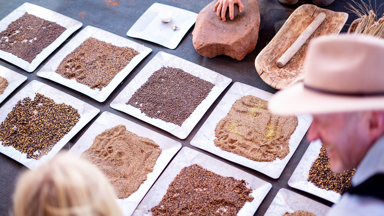 bush tucker at karkke aboriginal culture workshop