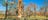 Guy looking at a Termite Mound close up