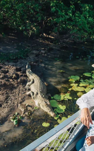 Woman-on-a-Yellow-Water-cruise