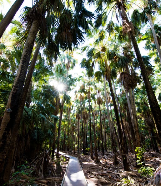 0E0A5511 Mataranka Springs