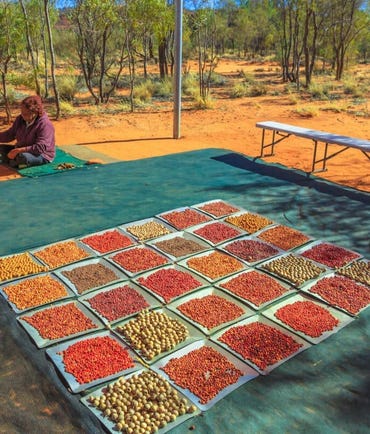 Bush Tucker Karrke Aboriginal Cultural Experience