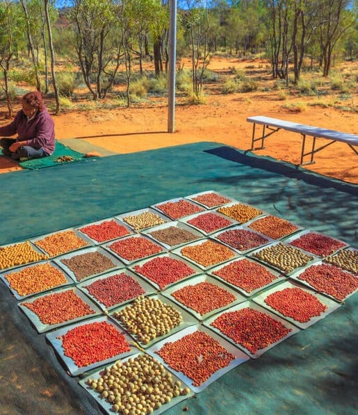 Bush Tucker Karrke Aboriginal Cultural Experience