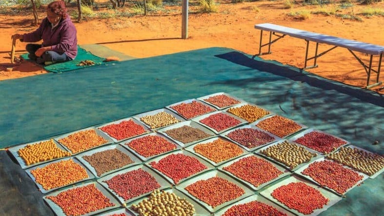 Bush Tucker Karrke Aboriginal Cultural Experience