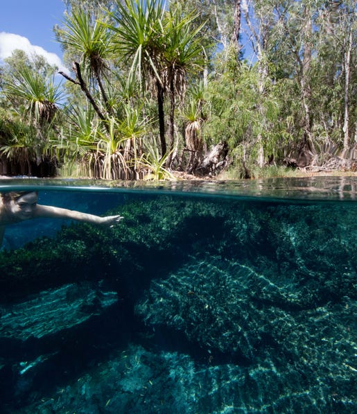 Child swimming at Bitter Springs
