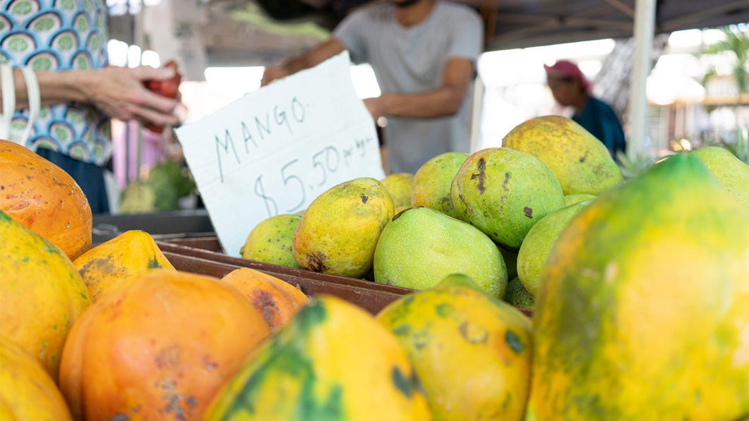 Sofia-Levin-Rapid-Creek-Markets1