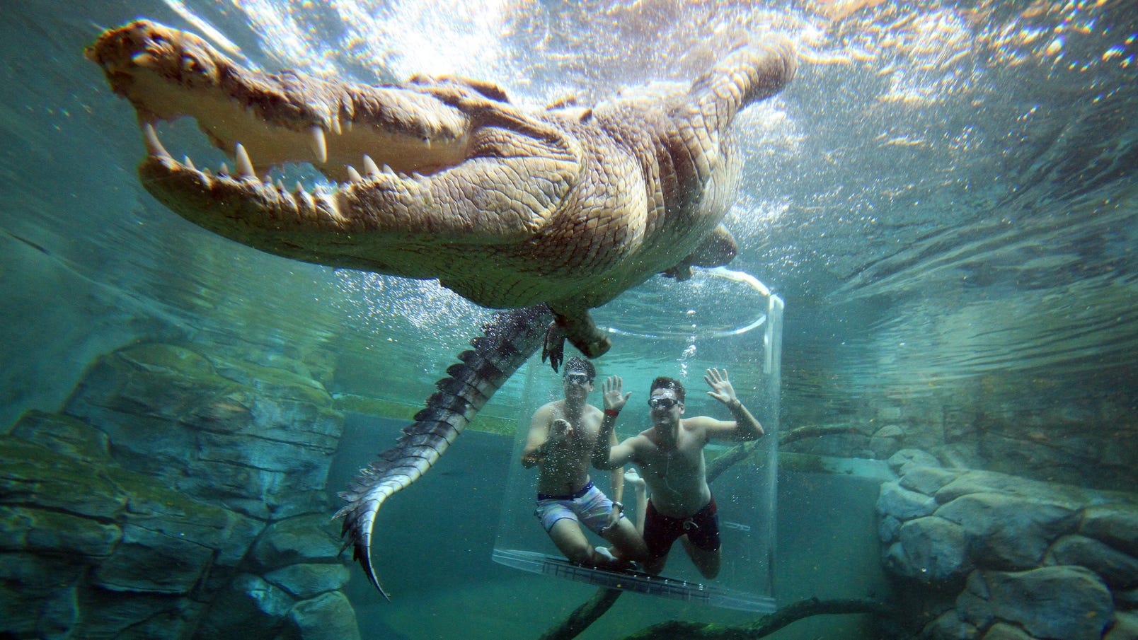 Crocosaurus Cove cage of Death Darwin