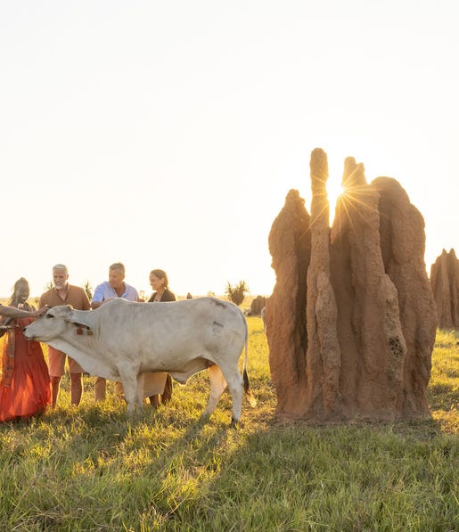Cows and Canapes Finniss River Lodge