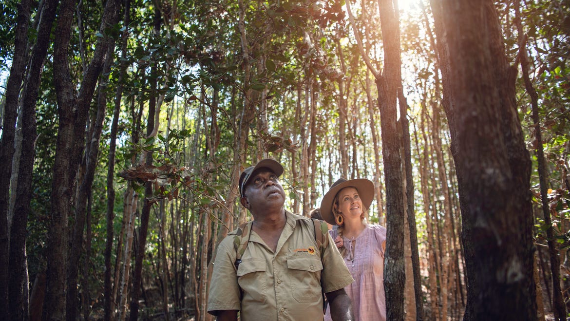 Ayal Aboriginal Tours in Kakadu