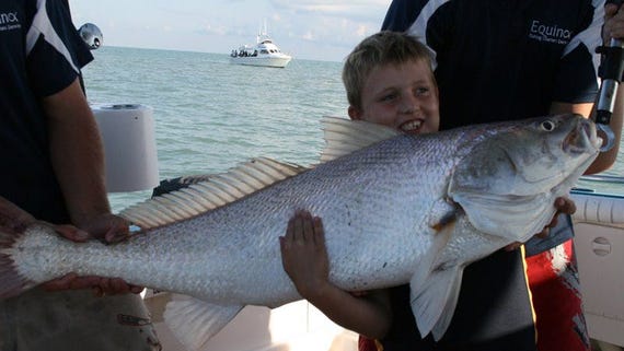 Young boy holding a large jewfish caught on Equinox Fishing Charters