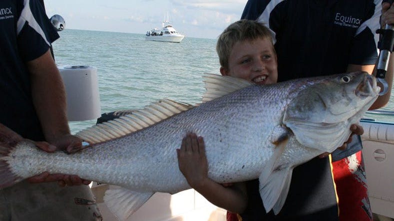 Young boy holding a large jewfish caught on Equinox Fishing Charters