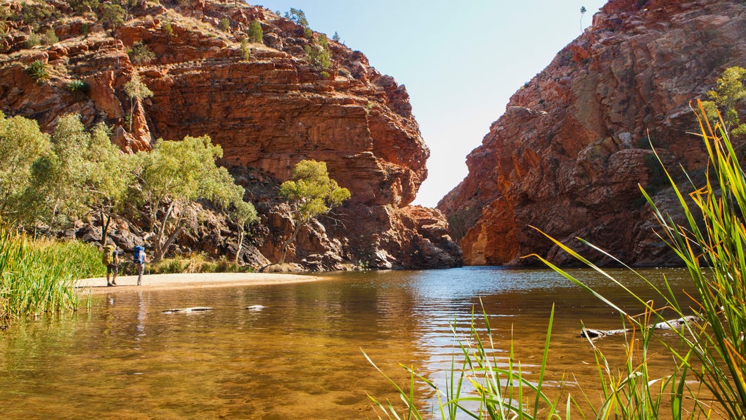 hikers walking along the banks of ellery creek big hole on the larapinta trail