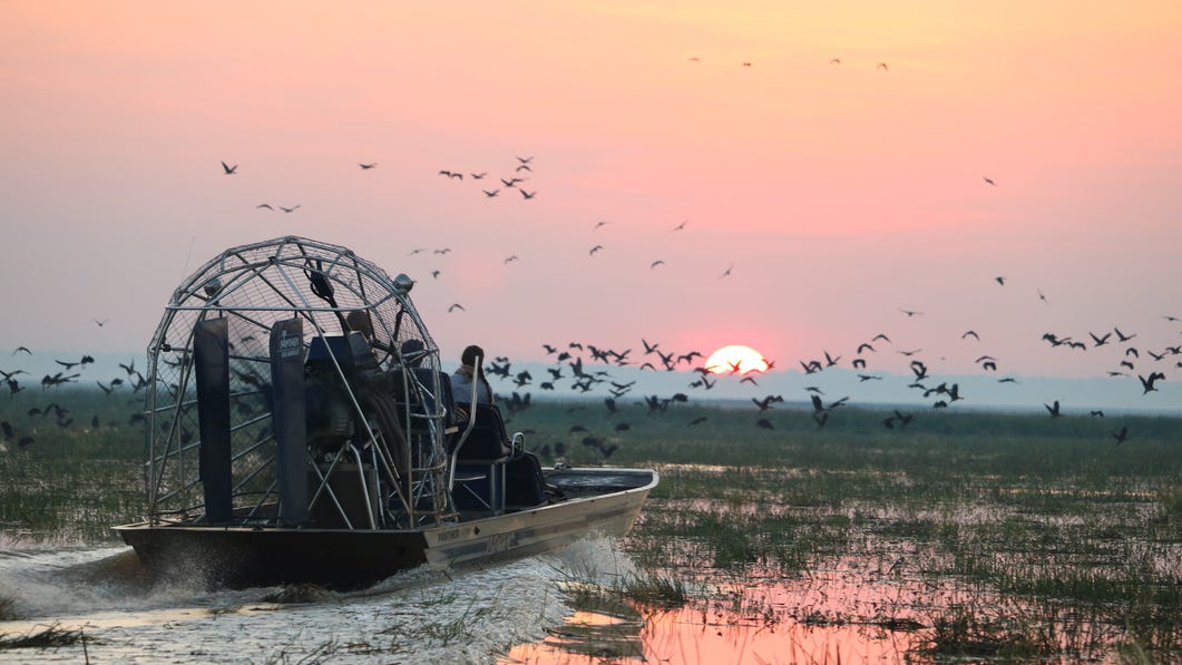 Fan boat at sunset on the wetlands and Bamurru plains