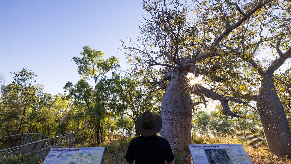Gregory's Tree - Timber Creek - Savannah Way - NT
